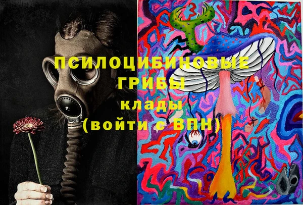 спиды Новозыбков