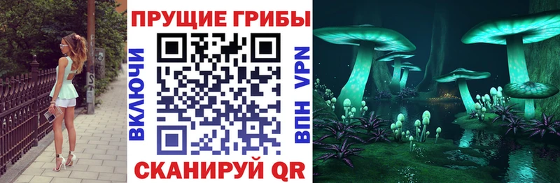 маркетплейс какой сайт блэк спрут вход Псилоцибиновые грибы ЛСД Оса закладки