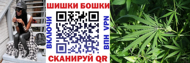 Шишки марихуана планчик  Оса 